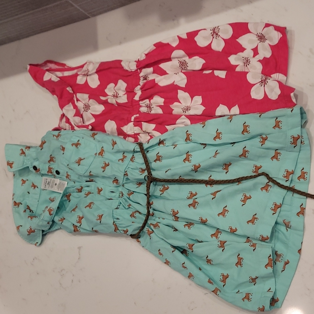 Set of two dresses